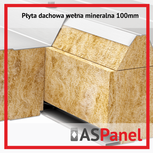 Płyta dachowa Wełna
